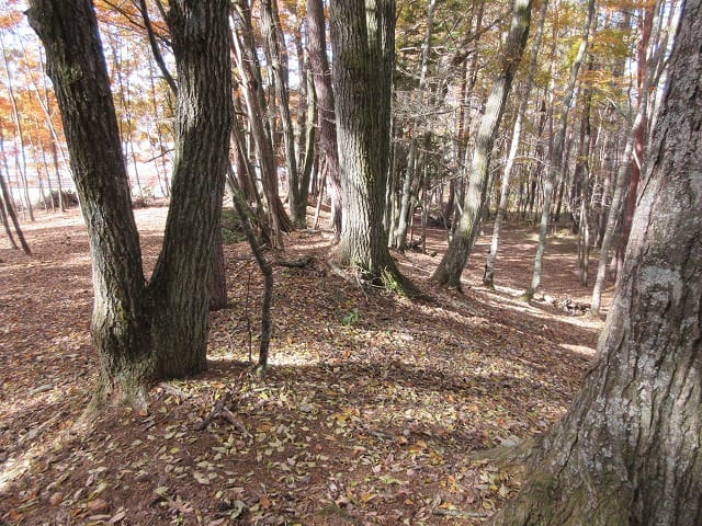 物件から西方向を撮影(2025年11月)