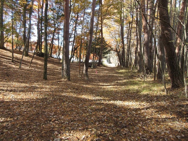 北側道路西方向を撮影(2025年11月)