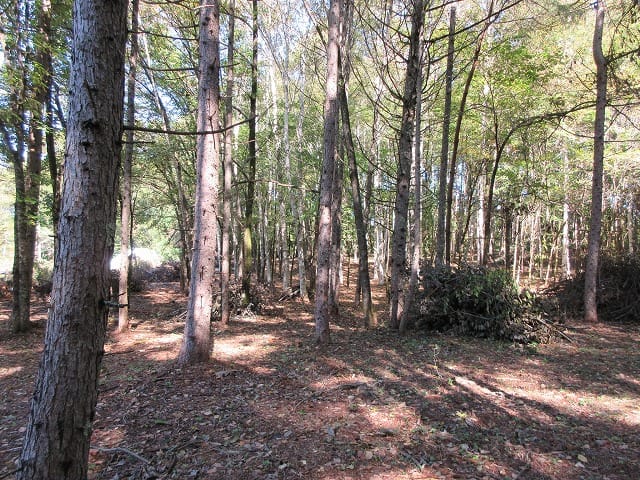 物件から北方向を撮影(2025年10月)