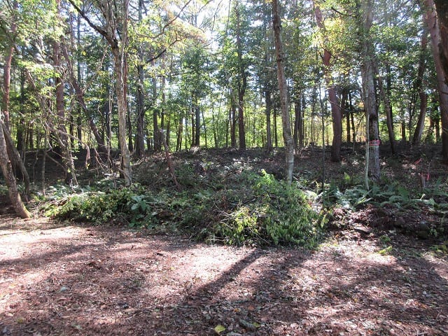 物件南方向を撮影(2025年10月)