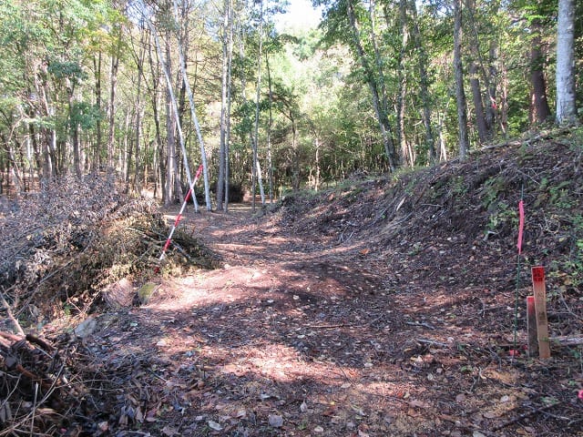 前面道路から撮影(2025年10月)