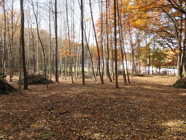 物件から西方向を撮影(2025年11月)