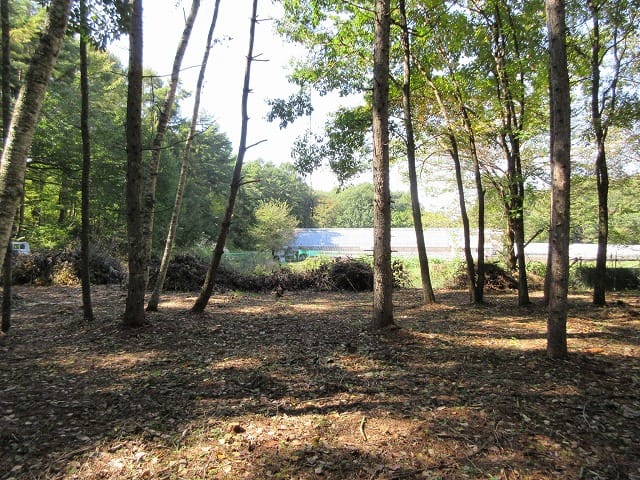 物件西方向を撮影(2025年10月)