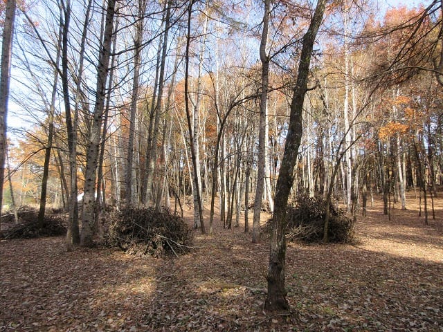 物件から北方向を撮影(2025年11月)