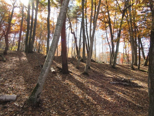 物件北側から撮影(2025年11月)