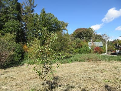 物件北方向を撮影(2025年10月)