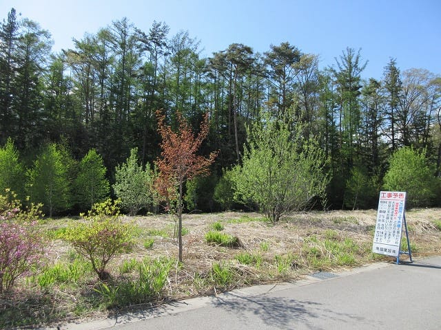 前面道路から撮影