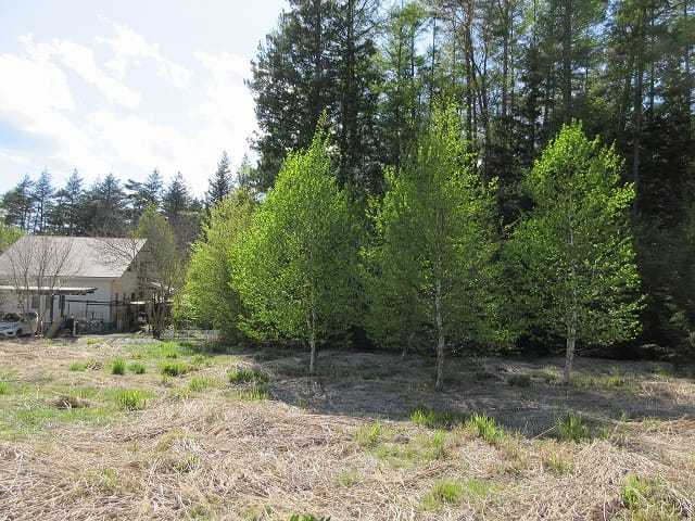 物件西方向を撮影