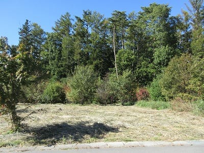 前面道路から西方向を撮影(2025年10月)