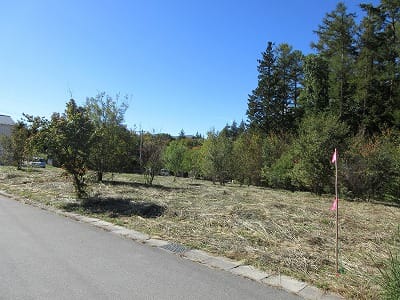 東側道路北東側から撮影(2025年10月)