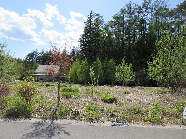 前面道路から撮影