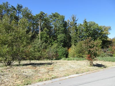 前面道路南東側から撮影(2025年10月)