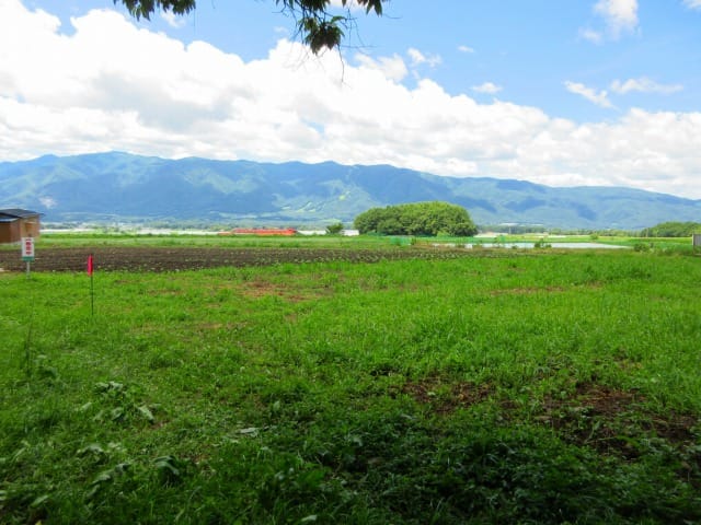 物件南西の入笠山方向を撮影(2026年7月)