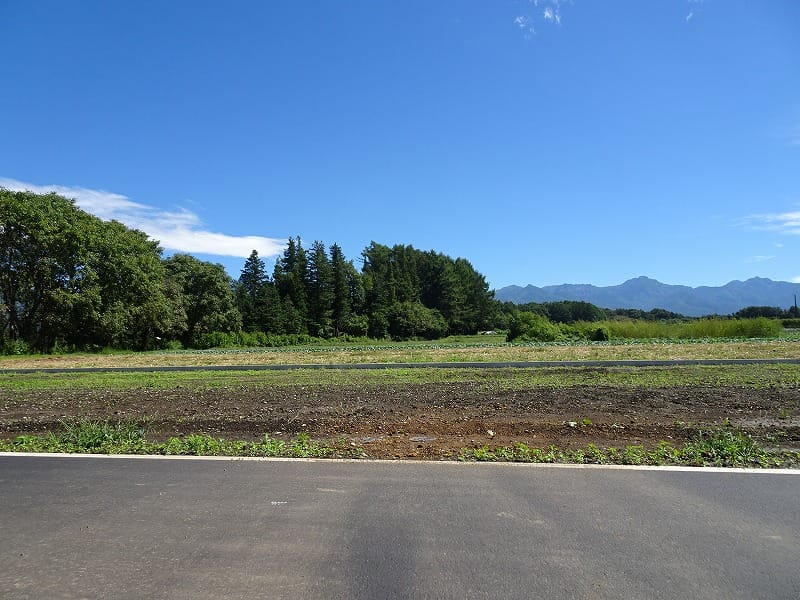 前面道路から撮影(2026年10月)