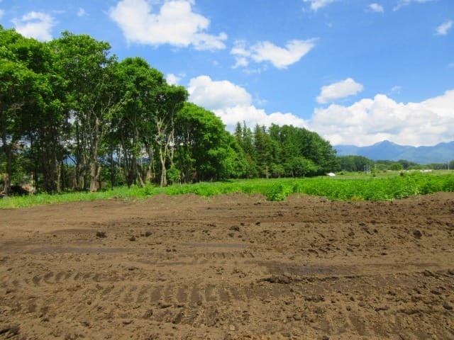 物件東方向を撮影(2026年6月)