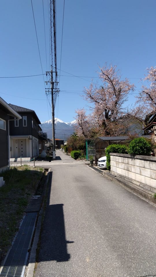 春には桜と北アルプス