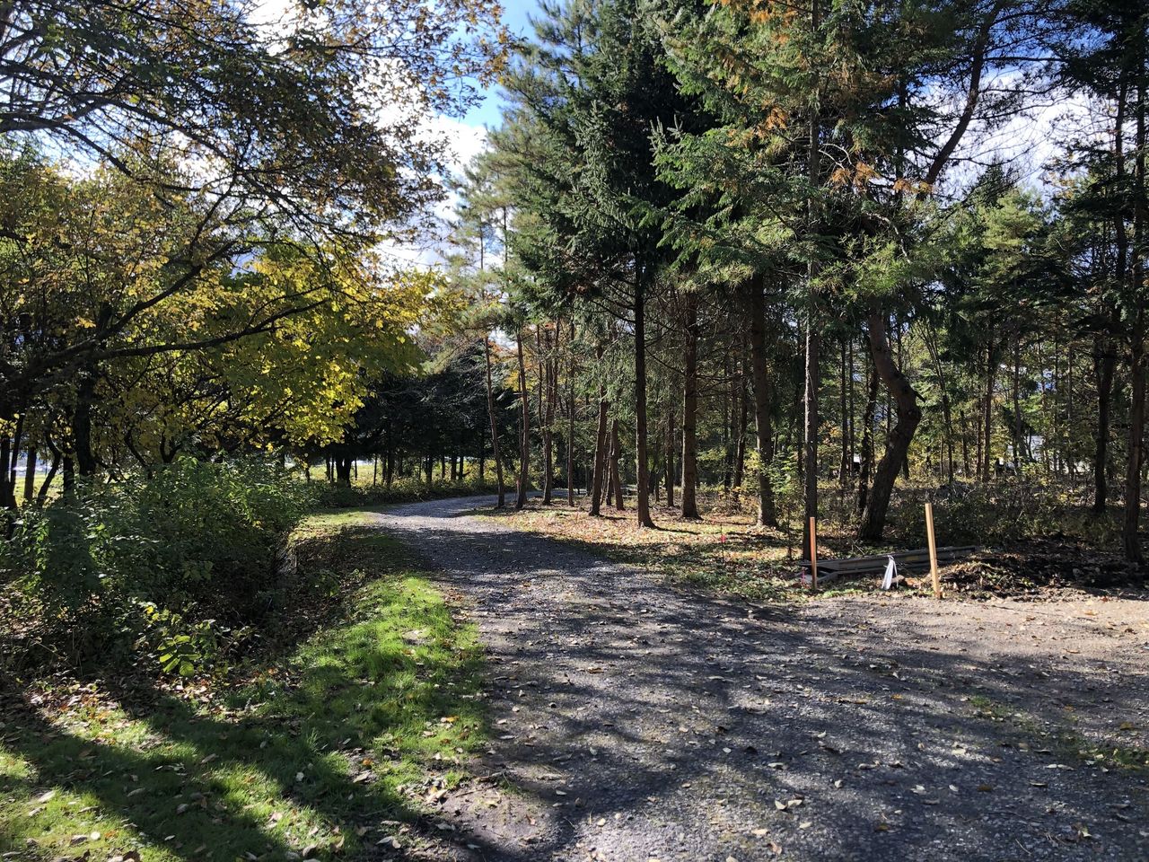 分譲地南側接道(村道)