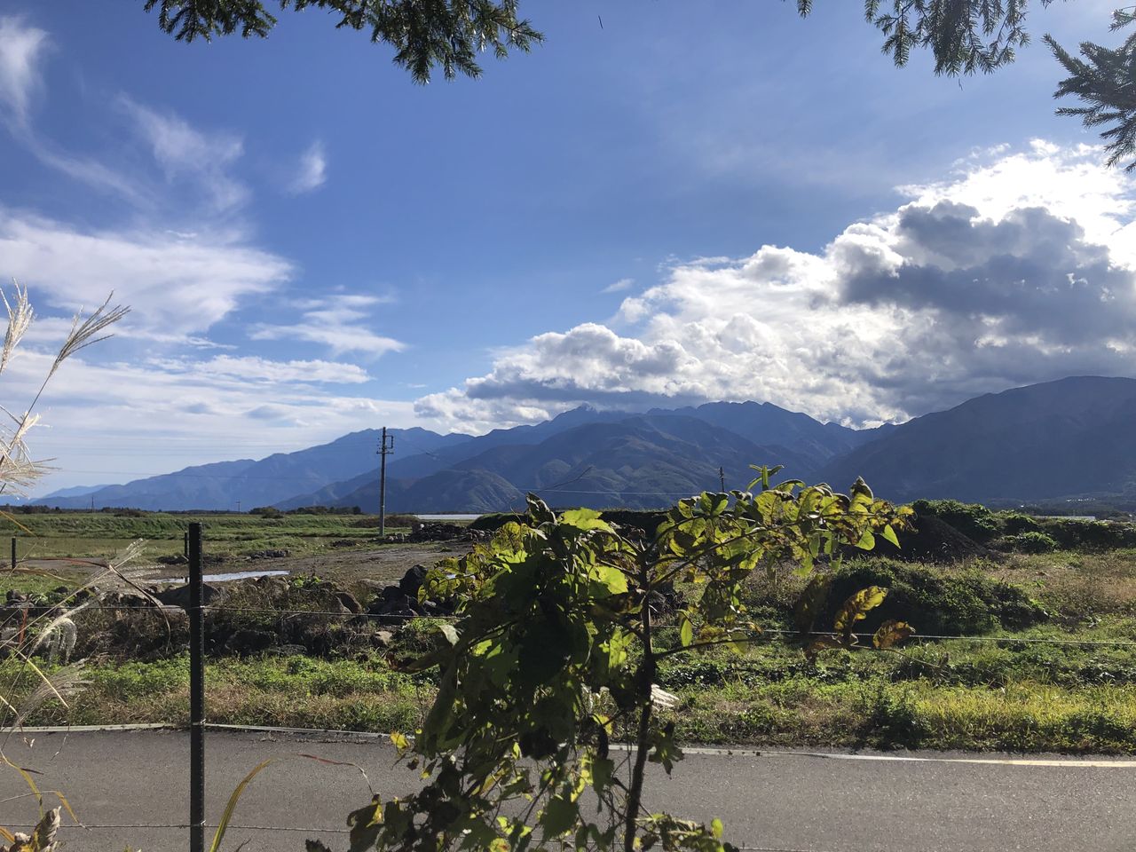 敷地南側近隣から撮影