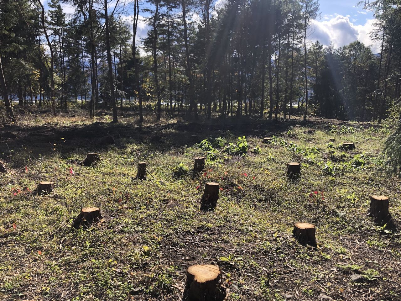 北東から南西方向