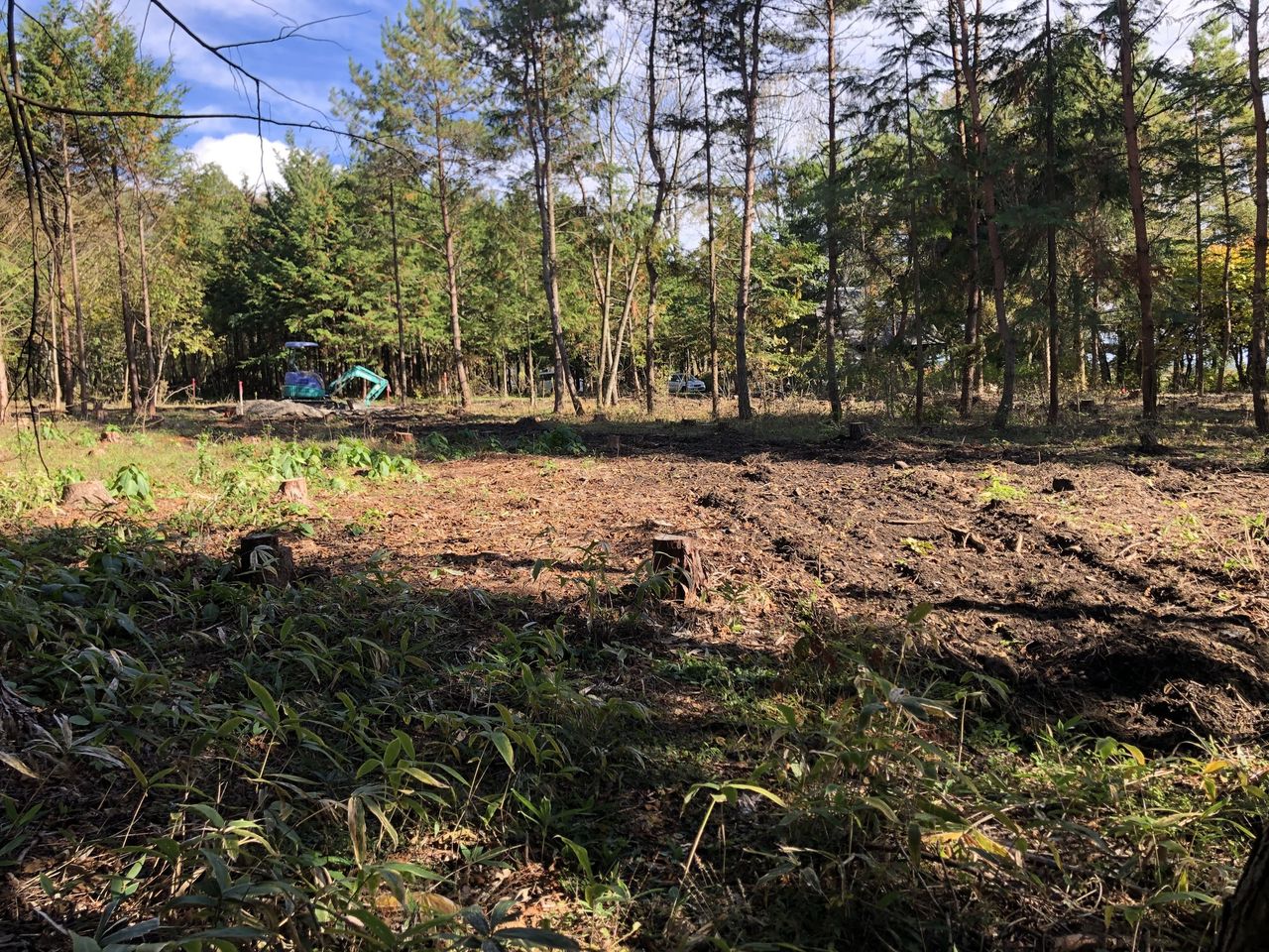 北西から南東方向