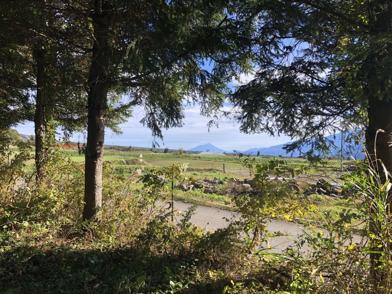 南側接面道路付近から撮影