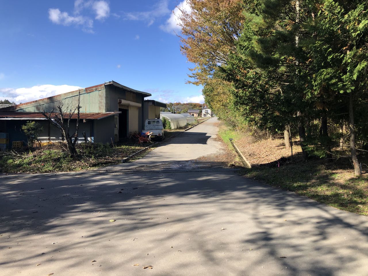 西側接面道路(村道)