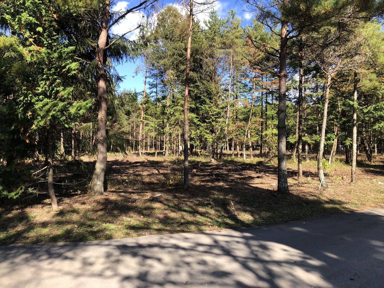 南西から北東方向