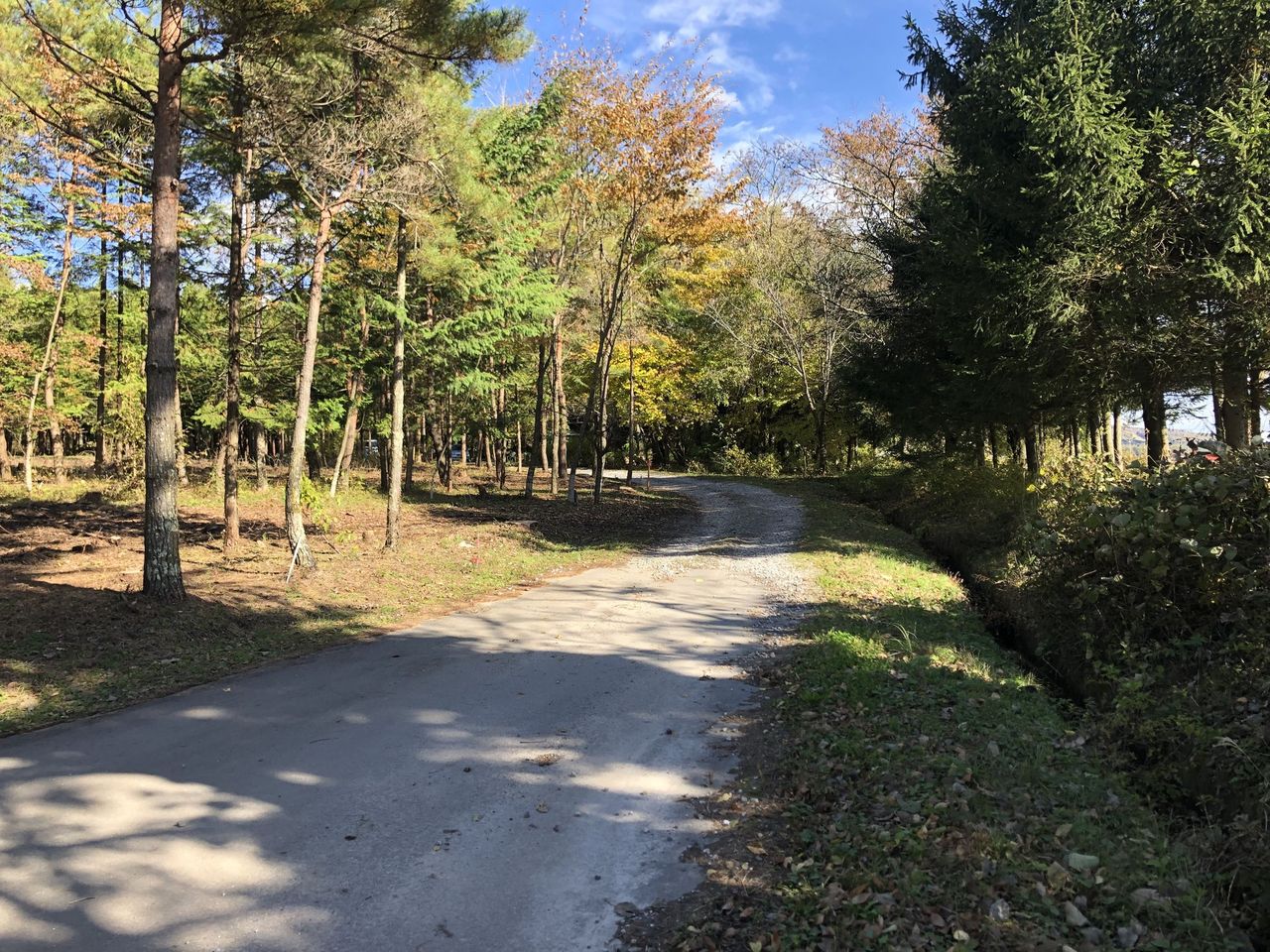 南側接面道路(村道)