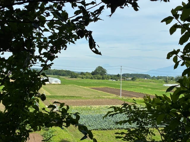 富士山