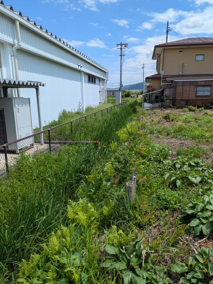 敷地の東側は水路になっています