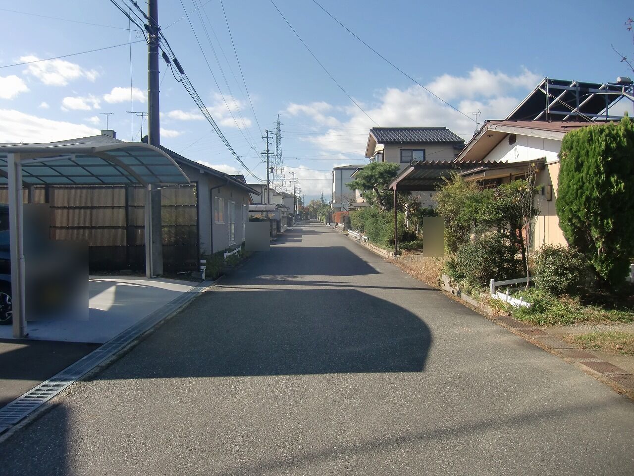 前面道路(北から)