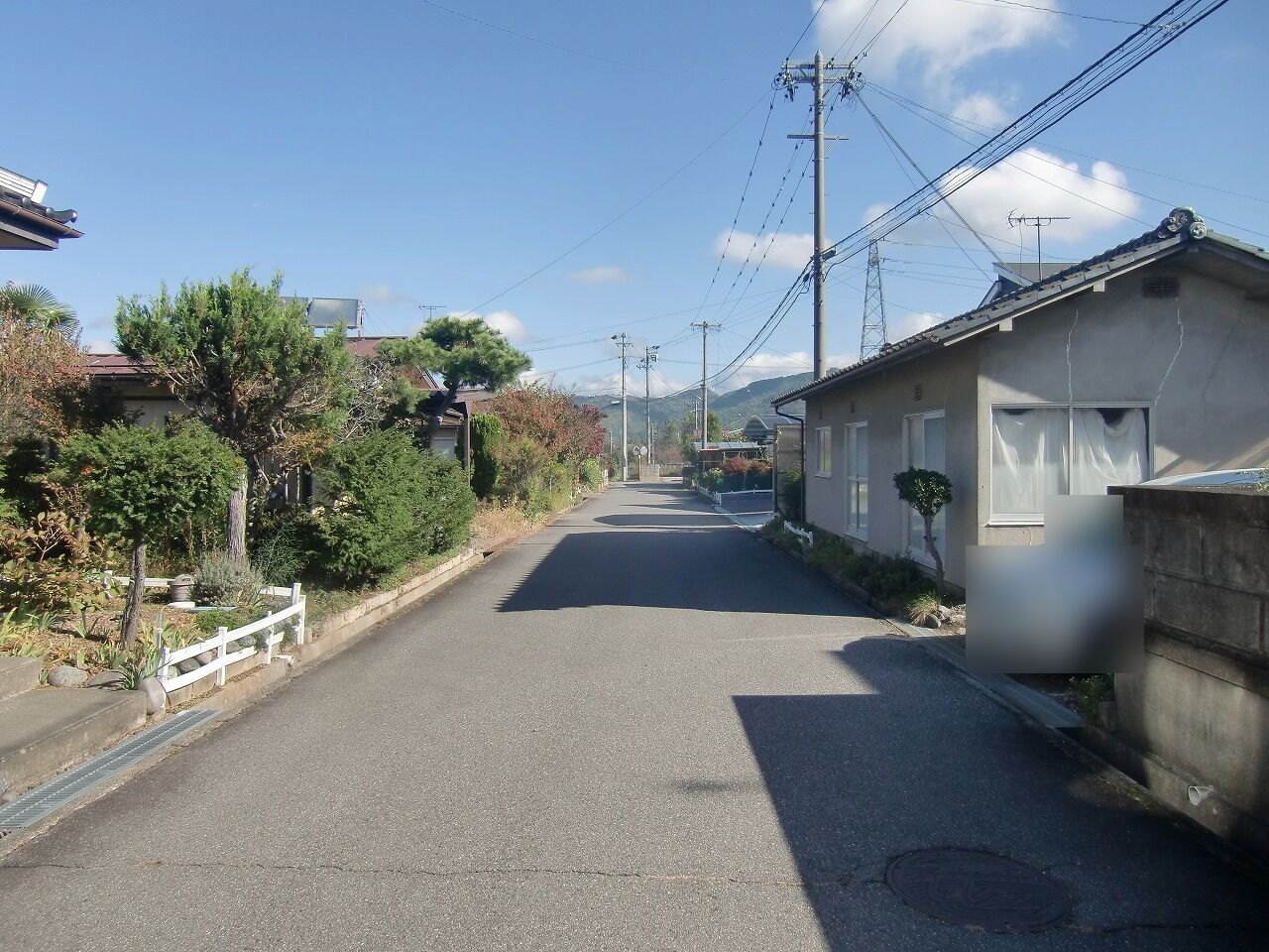 前面道路(南から)