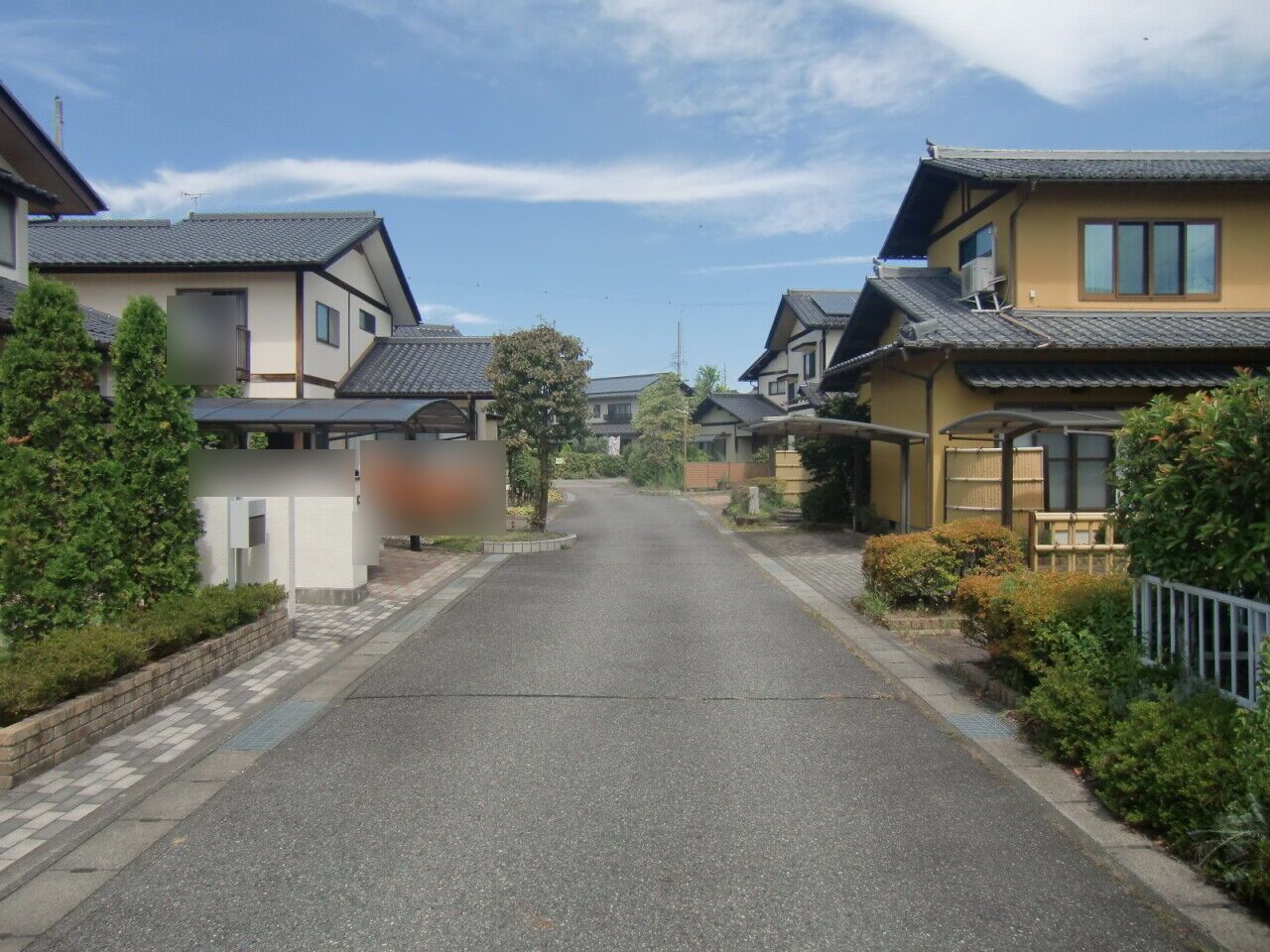 前面道路(南から)