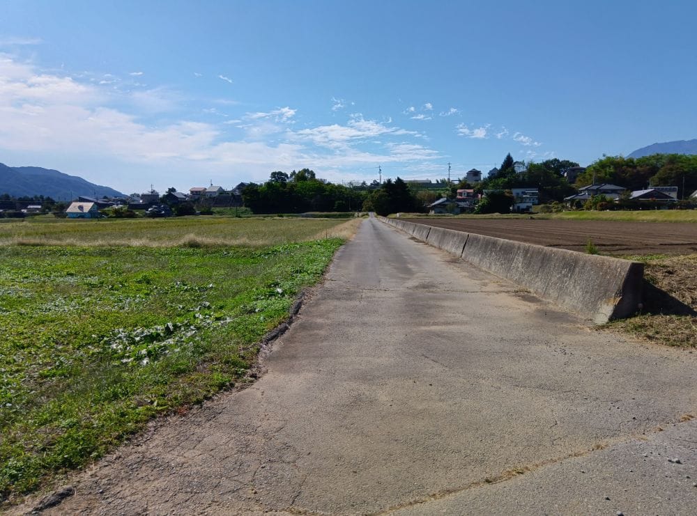 西側道路(南方向)