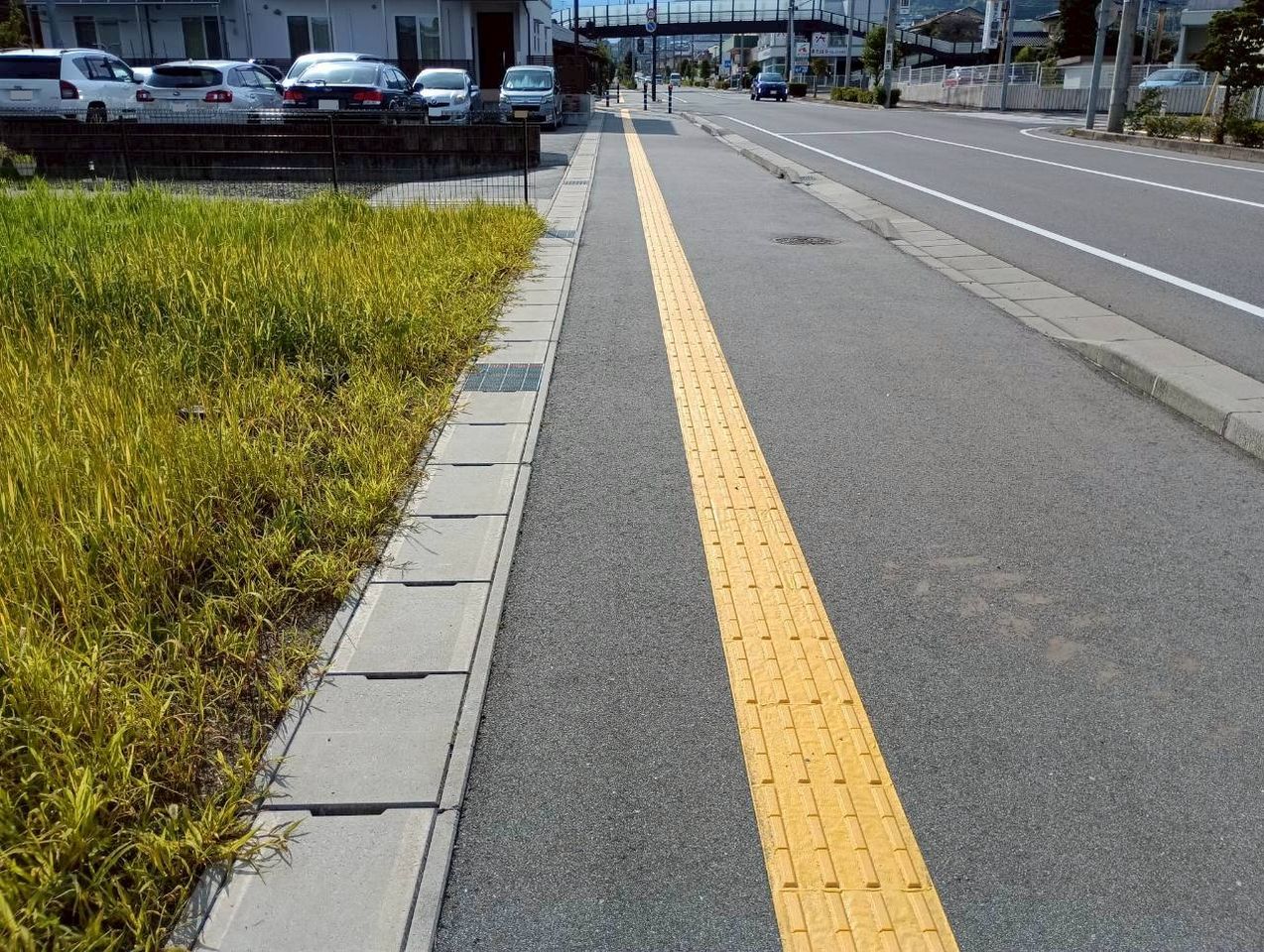 前面道路(歩道)