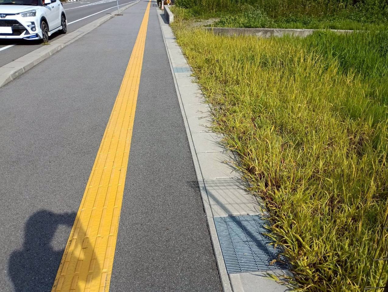 前面道路(歩道)