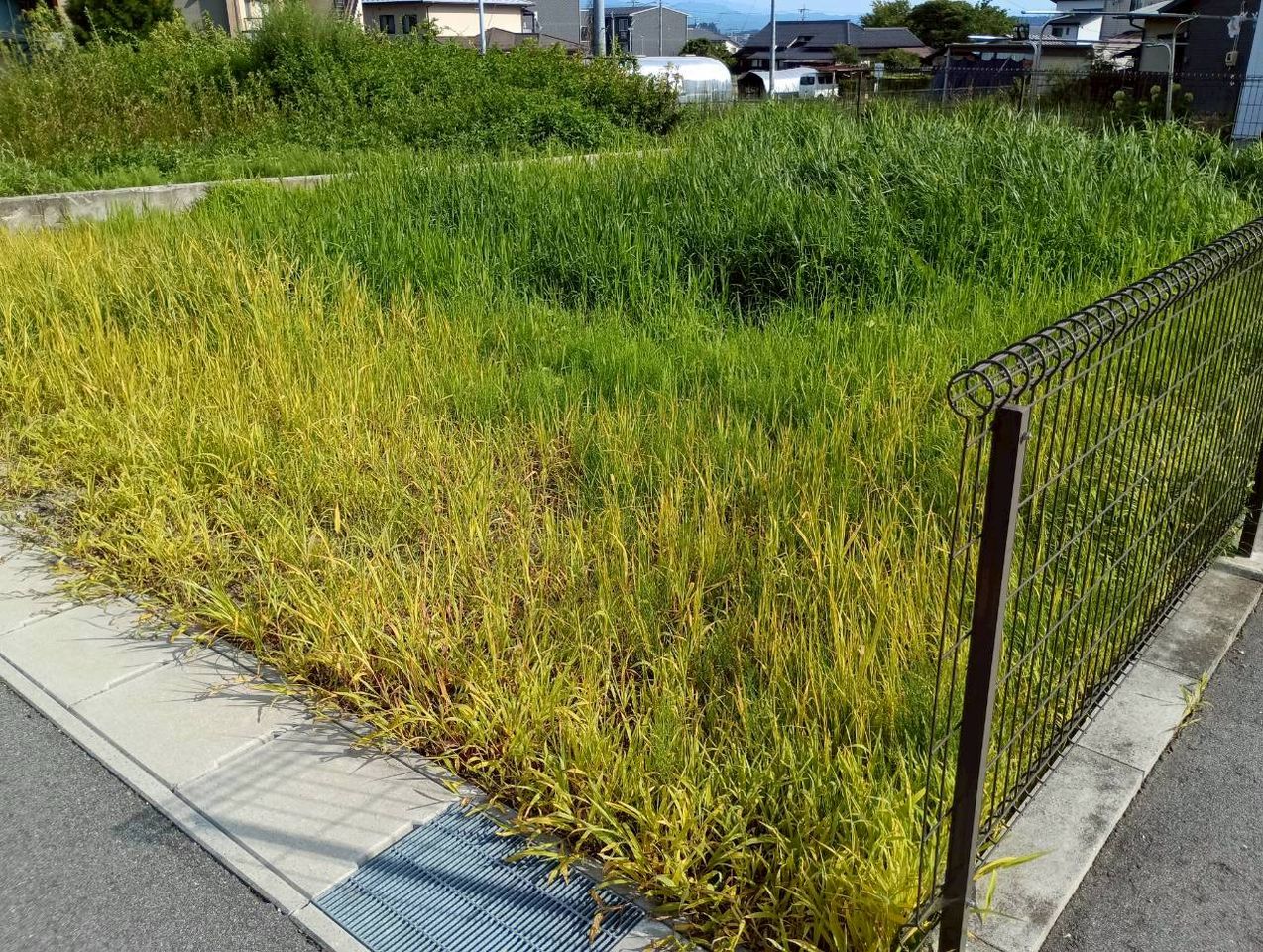 土地