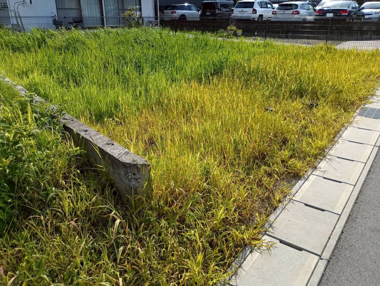 土地