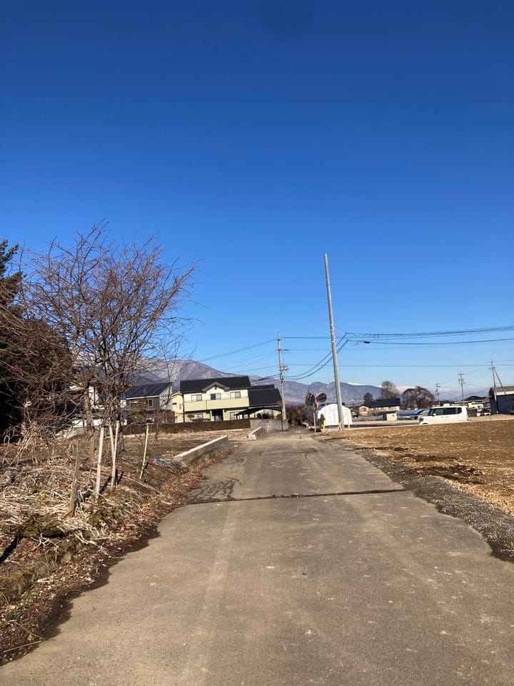 西側道路 北方向の様子