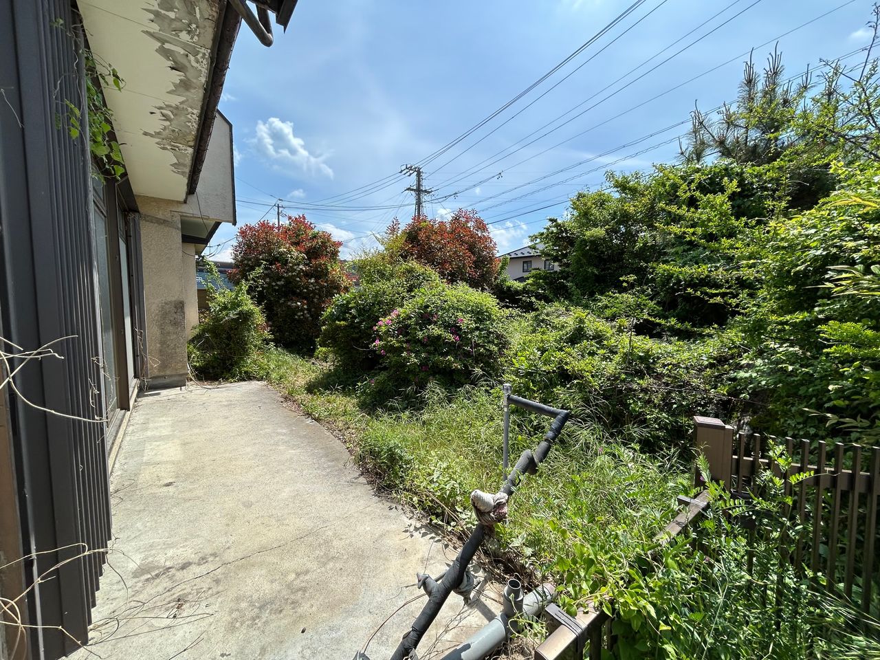 庭