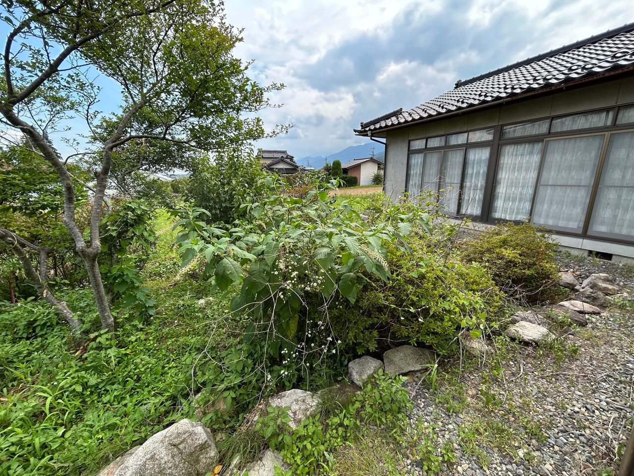 庭