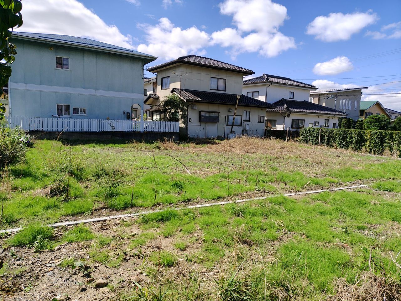 現地 2026年10月撮影