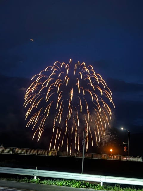 分譲地近くの湖畔からの花火
