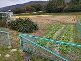田と畑