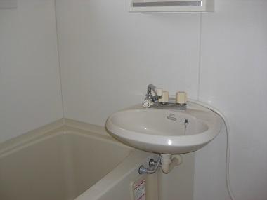 洗面台はありませんがバスに流しと小さいですが吊り鏡があります