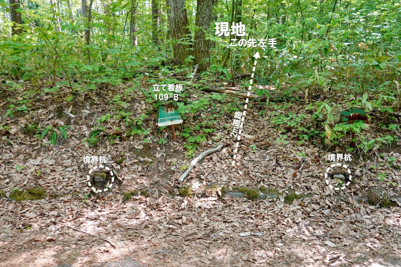 入口道路の様子