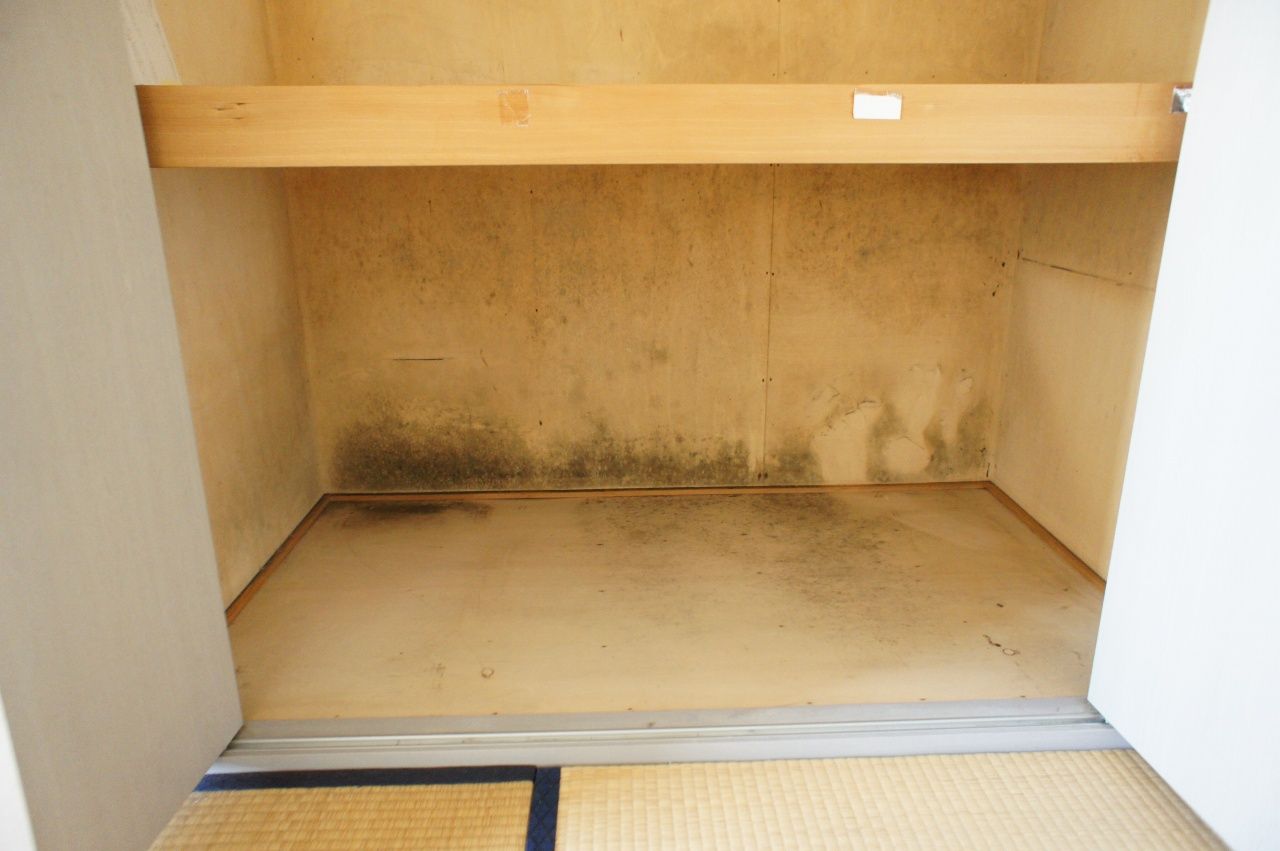 【マルトミ不動産】と検索して下さい!