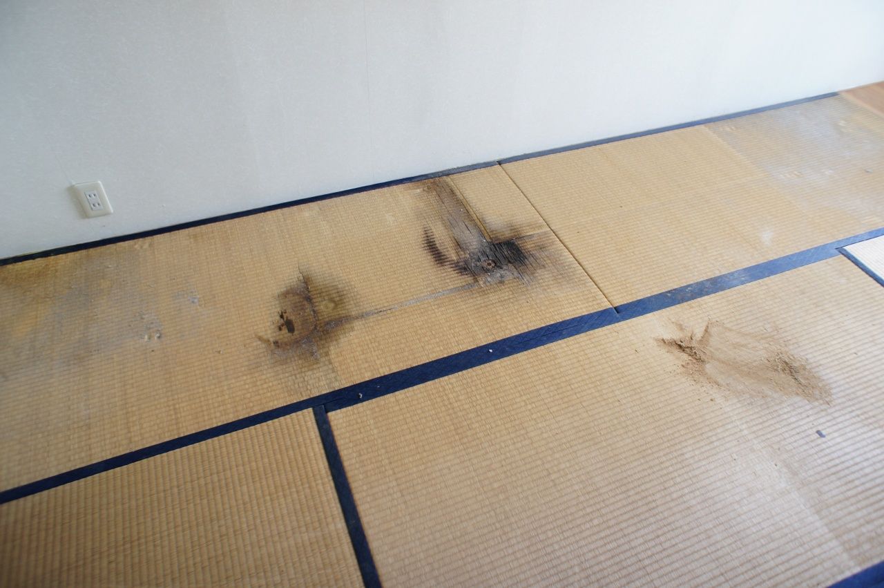 お部屋の中の様子などをYoutubeの動画で