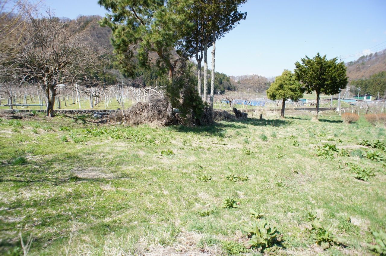 文字数制限の都合でこのページには