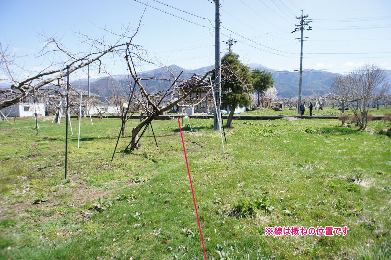 ぜひマルトミ不動産の公式ウェブサイトをご覧ください!